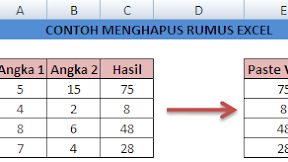 2 Cara Menghapus atau Menghilangkan Rumus Pada Cell Excel